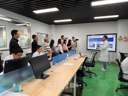 從“一”到“百” 內(nèi)江以技術(shù)咨詢?yōu)橛曷?，讓?chuàng)新種子長成產(chǎn)業(yè)森林